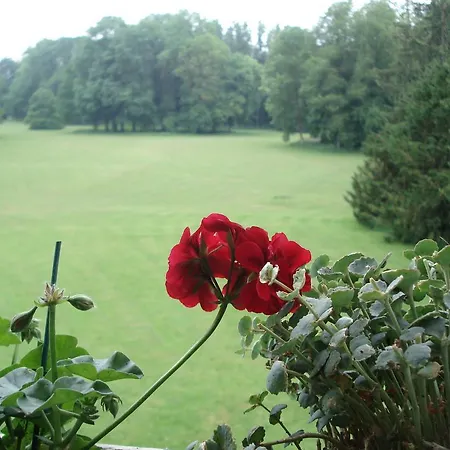 فندق Chateau D'hassonville Aye