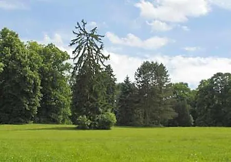 Chateau D'hassonville 3* איי