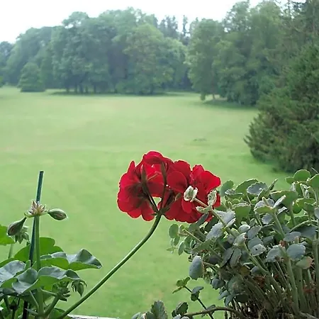 Chateau D'hassonville 3*
